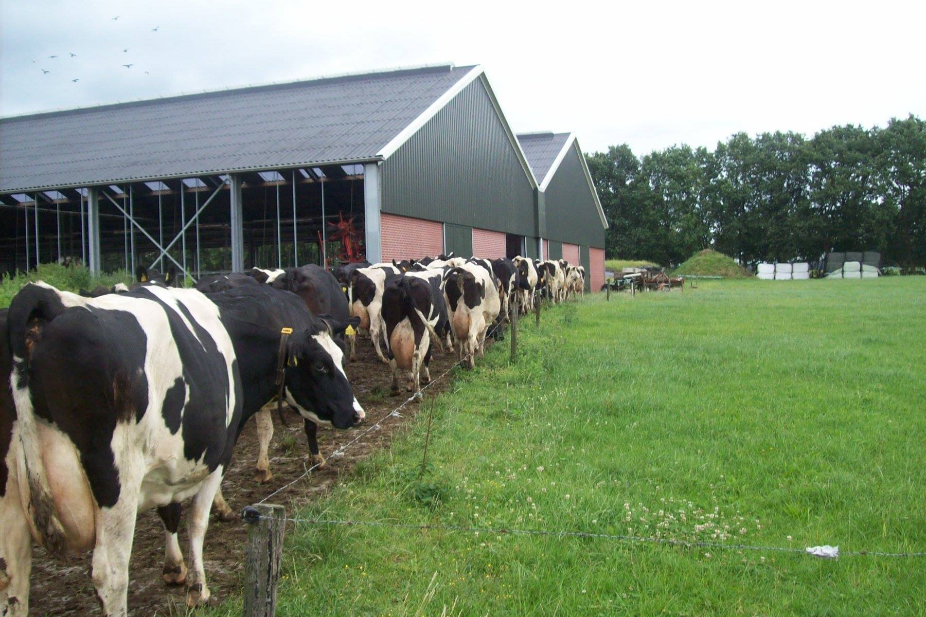 Boerderij de Bontekoe
